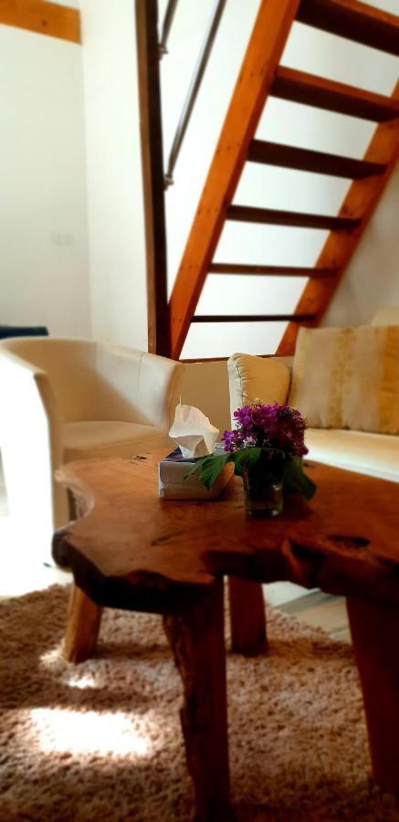 Appartement L'Huile Et L'Eau à Antraigues-sur-Volane Extérieur photo