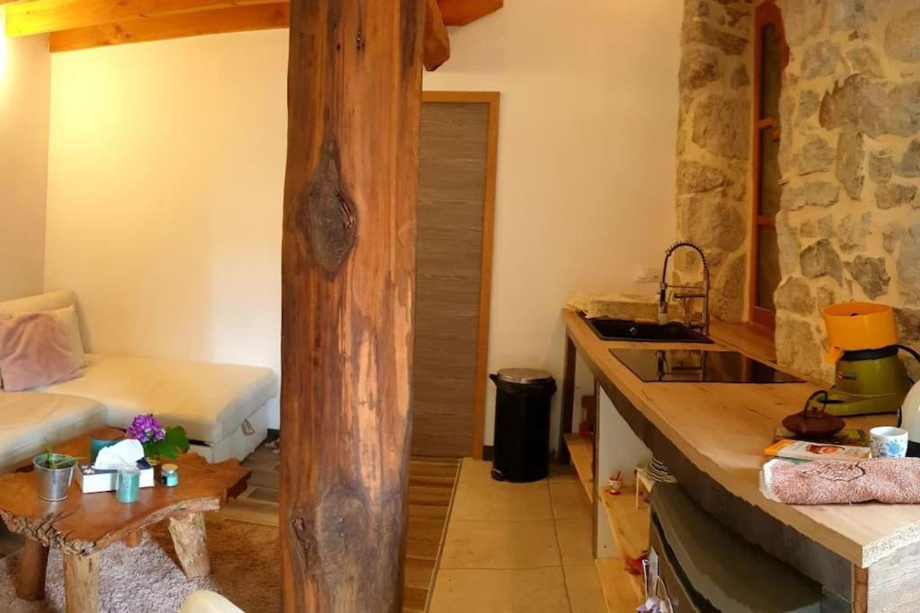 Appartement L'Huile Et L'Eau à Antraigues-sur-Volane Extérieur photo